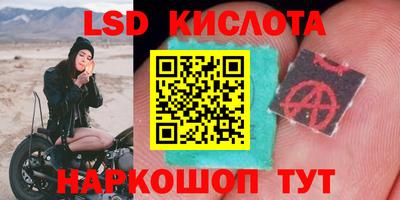 крисы Гагарин