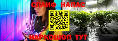 эйфоретик Гай
