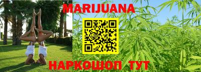 сатива Гусиноозёрск