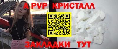 крисы Гагарин